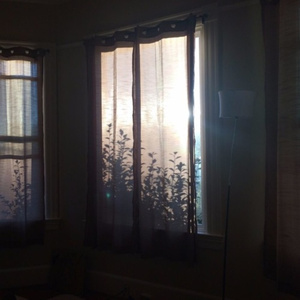 动漫男男被❌黄漫网站
