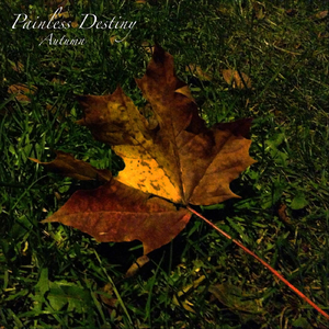 动漫男男被❌黄漫网站
